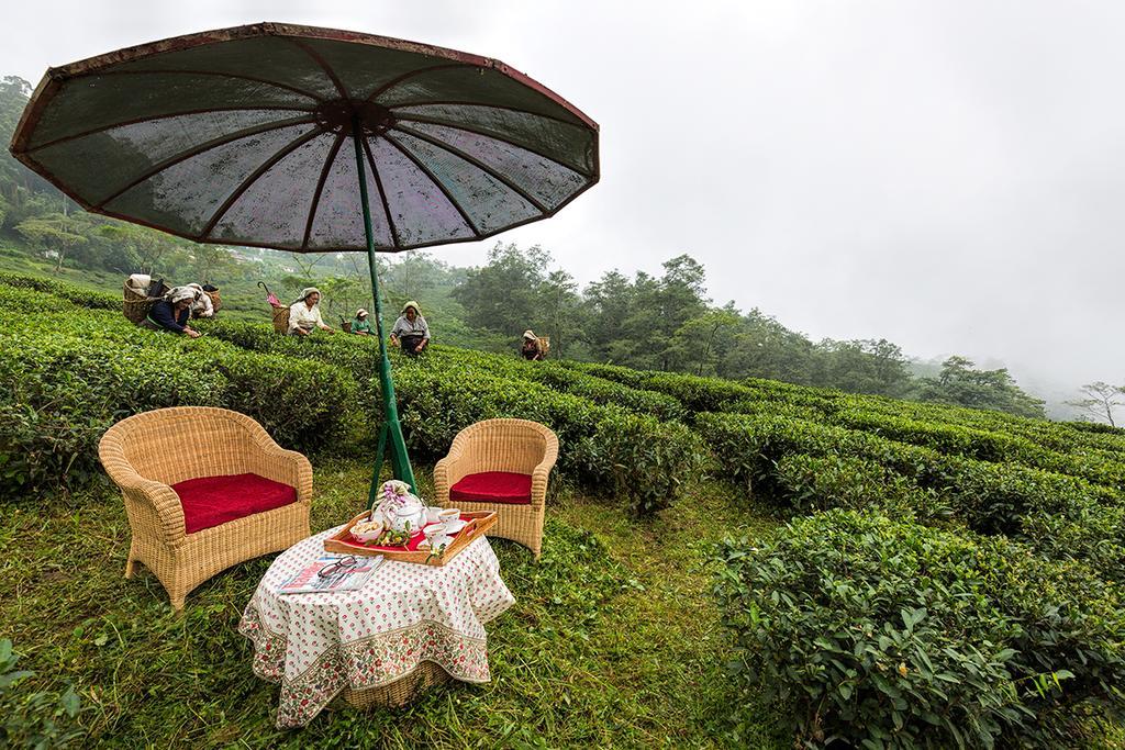 Ging Tea House Guest House Darjeeling  Eksteriør bilde