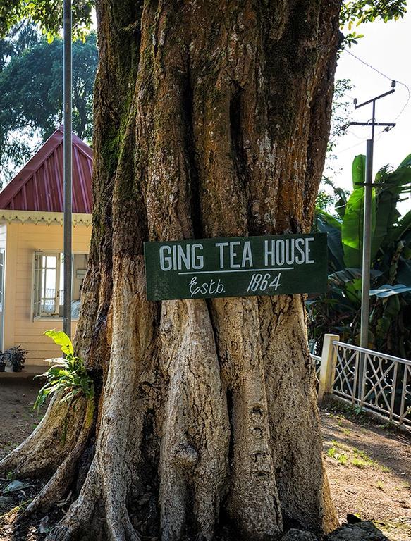 Ging Tea House Guest House Darjeeling  Eksteriør bilde