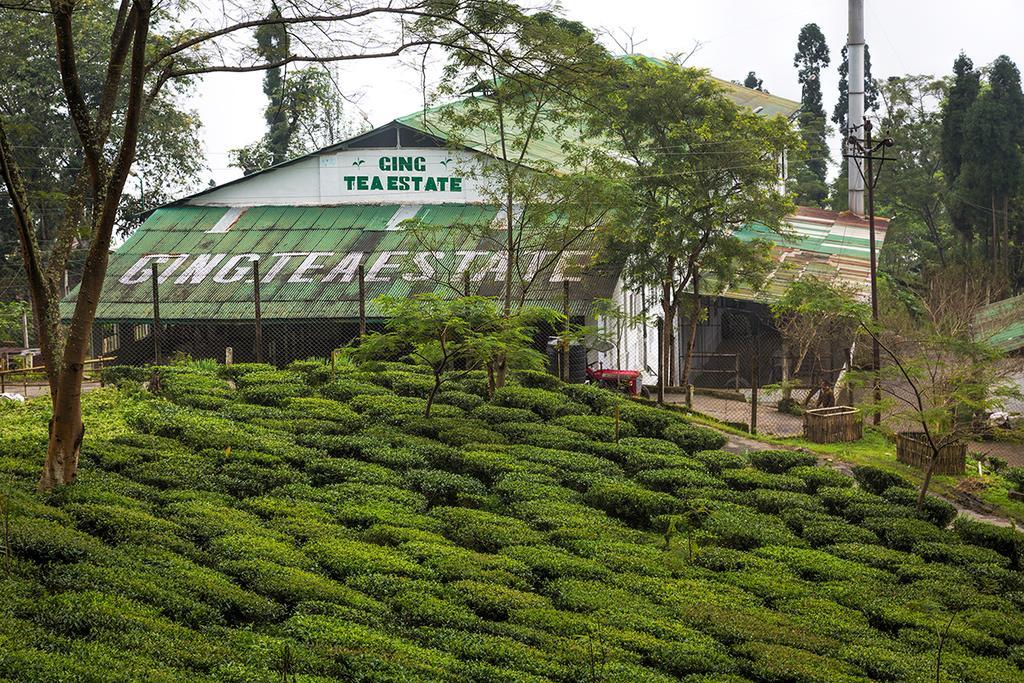 Ging Tea House Guest House Darjeeling  Eksteriør bilde